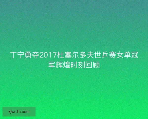 丁宁勇夺2017杜塞尔多夫世乒赛女单冠军辉煌时刻回顾
